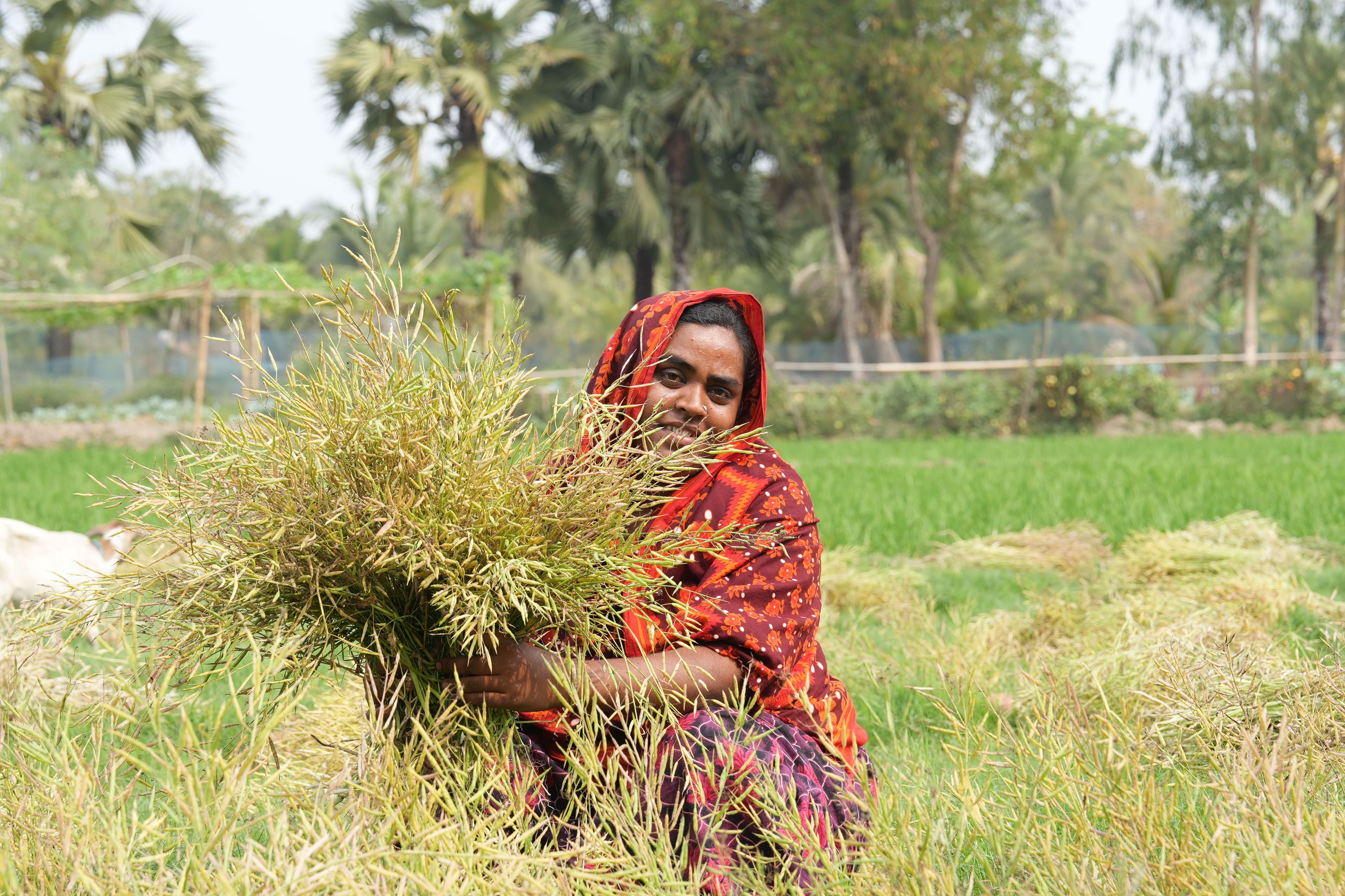 Competitive and Inclusive Trade Growth for Bangladesh