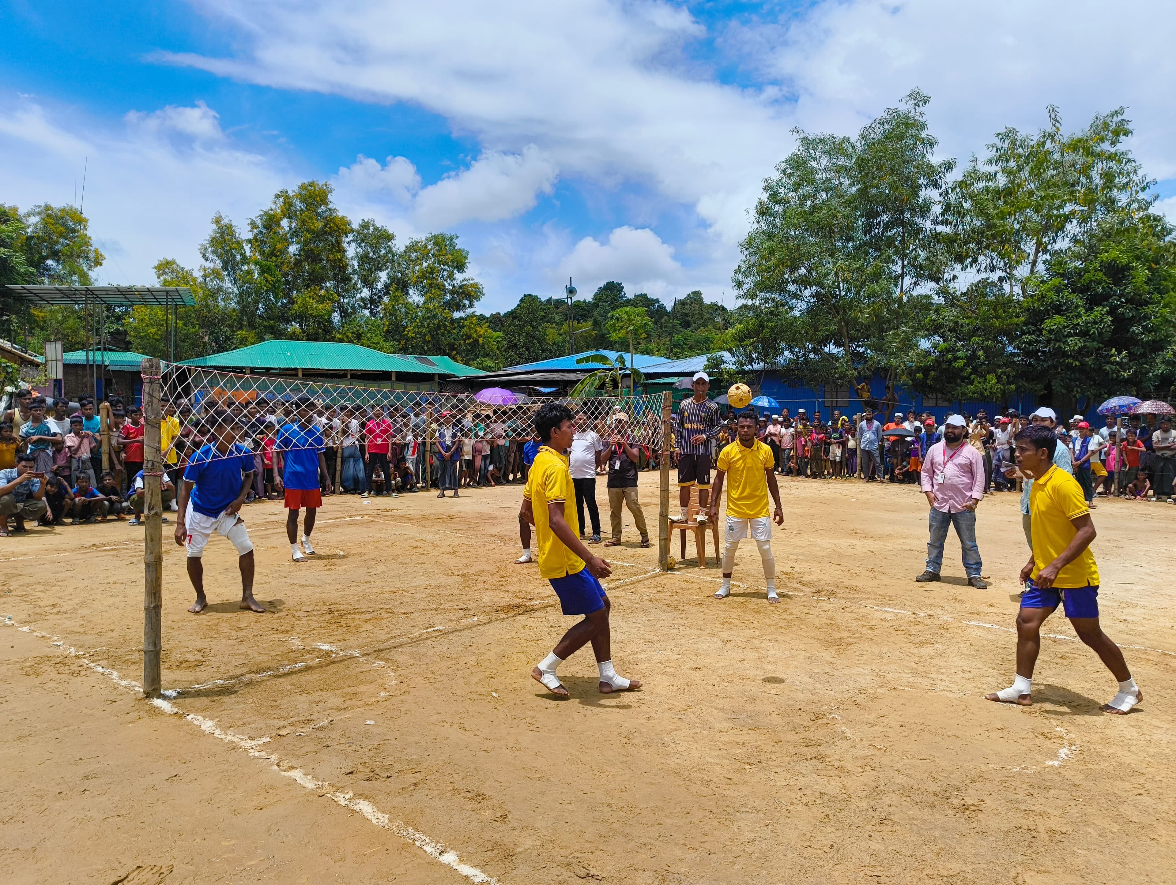 Gallery image 7