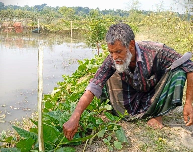 Ahed Ali: Rising Through Disruption   