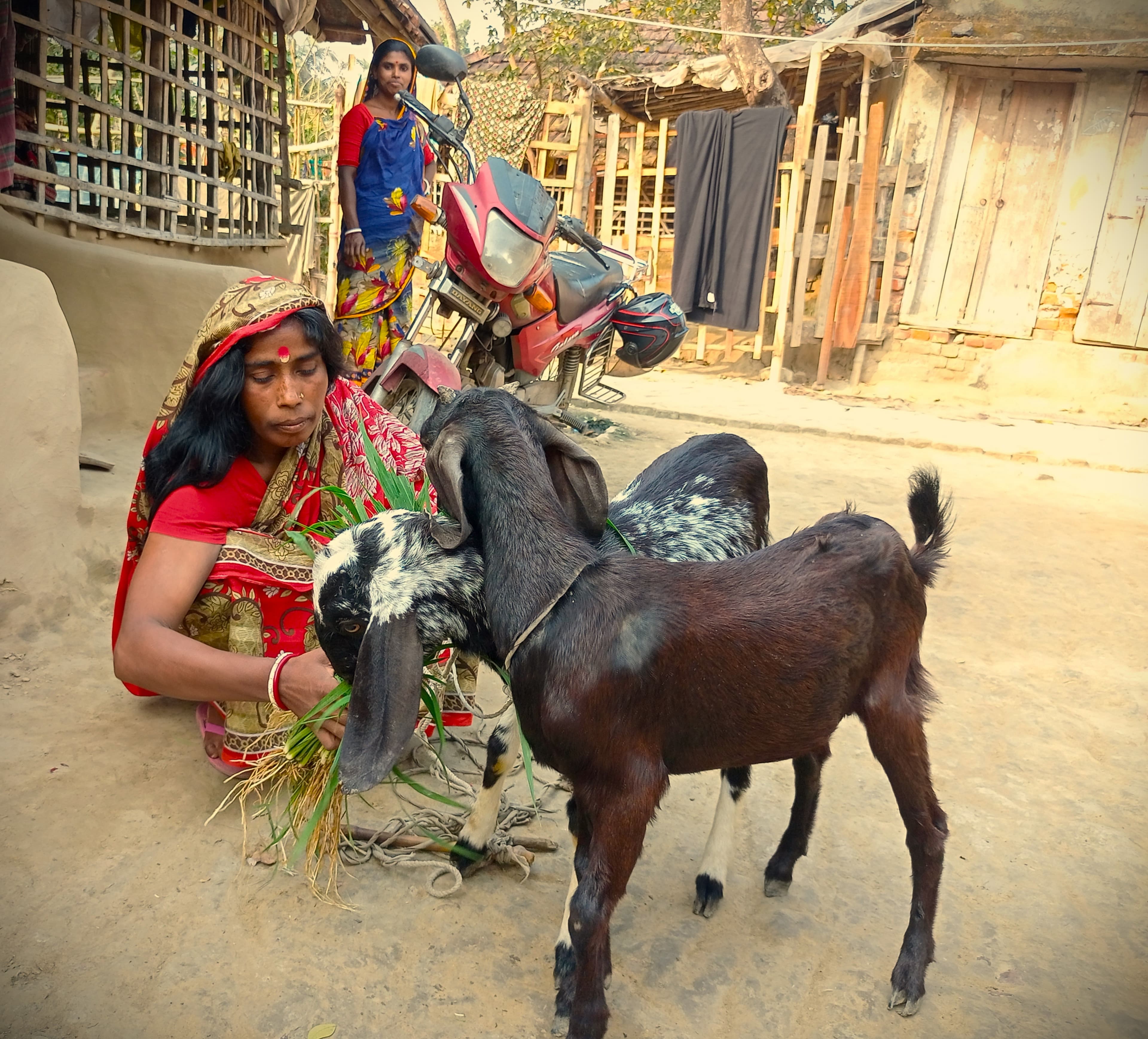 Sobita dasi.jpg
