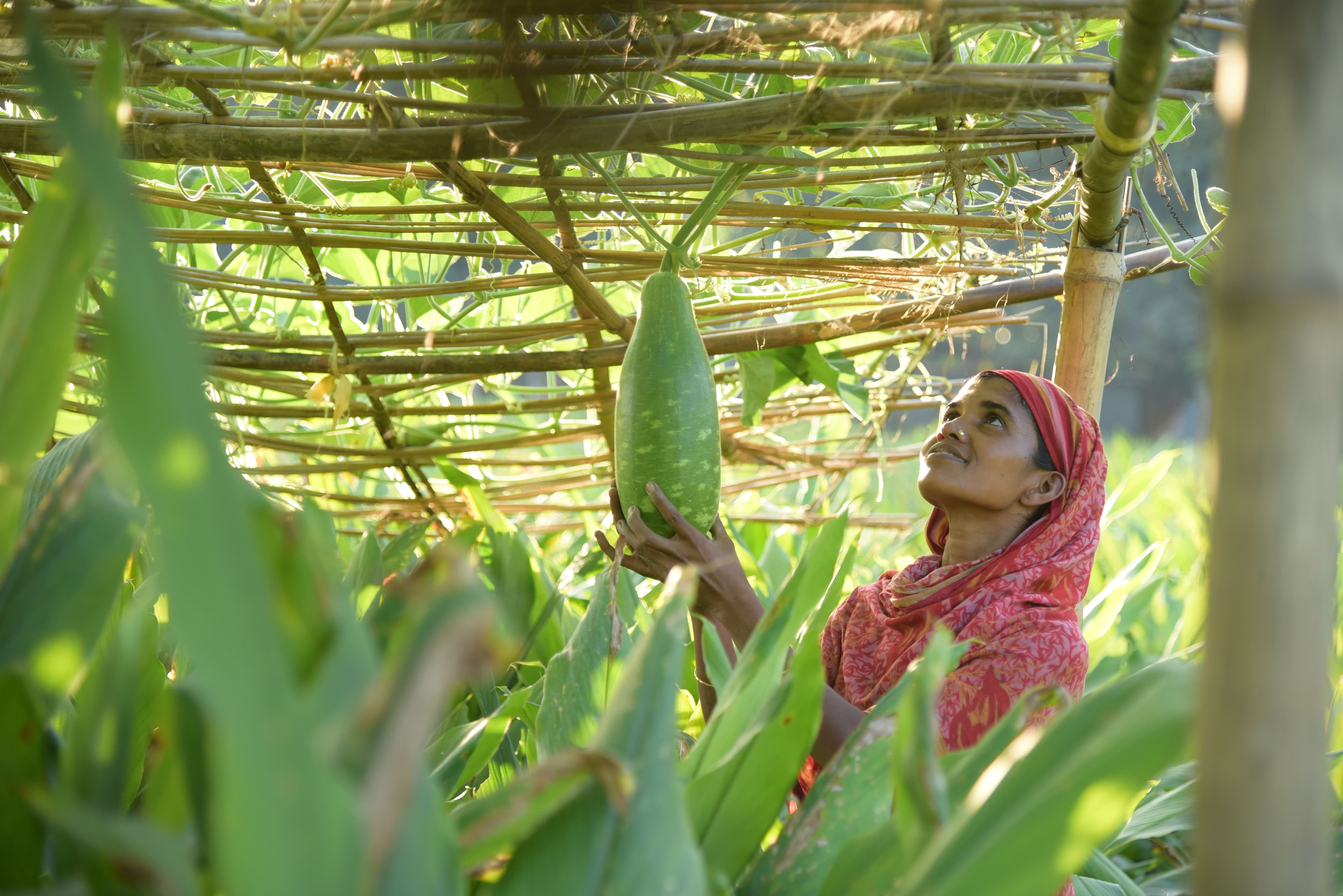 Making Market Work for Women (MMWW)